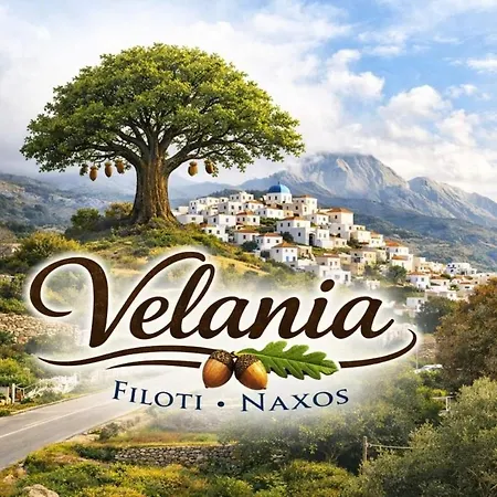 Velania House 2 Apartment